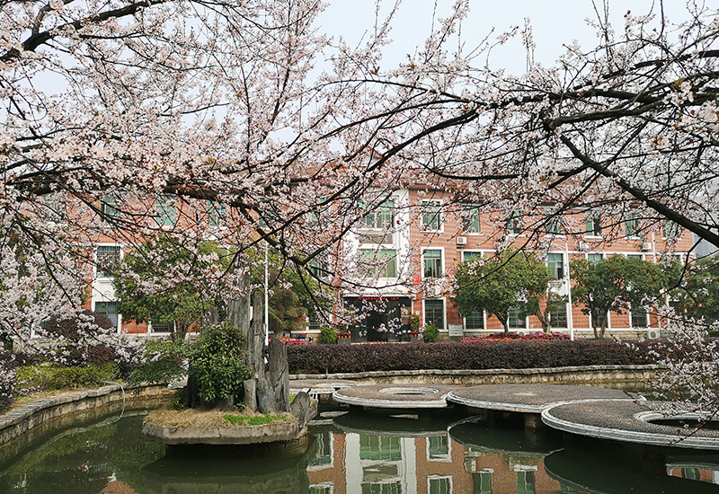 1589243241911921.jpg 000.jpg