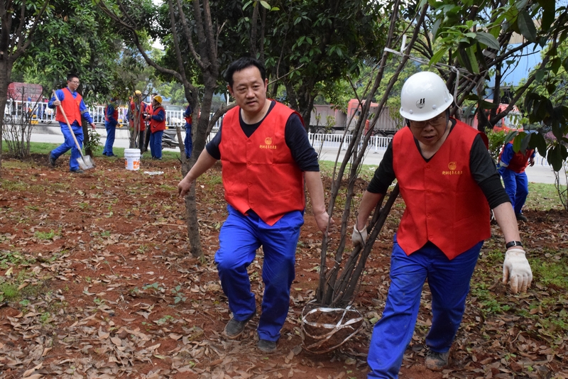 鋼城四月春意濃 衡鋼青年植樹忙